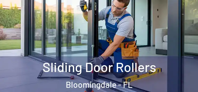 Sliding Door Rollers Bloomingdale - FL
