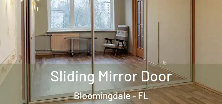  Sliding Mirror Door Bloomingdale - FL