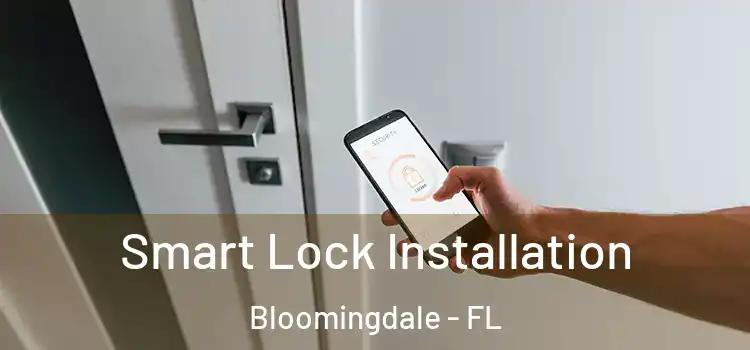 Smart Lock Installation Bloomingdale - FL