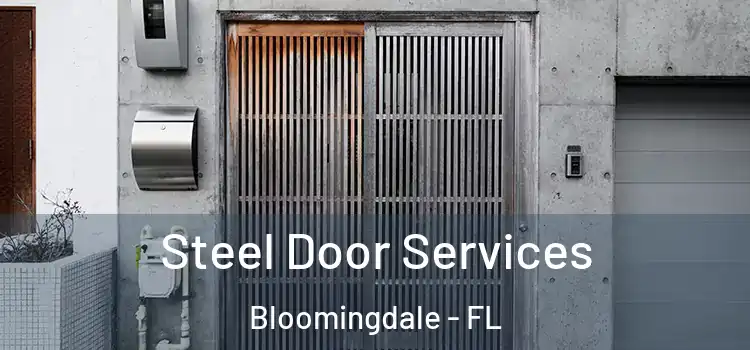 Steel Door Services Bloomingdale - FL