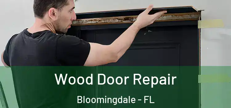 Wood Door Repair Bloomingdale - FL
